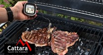 Teploměr digitální na měření teploty masa při pečení a grilování
