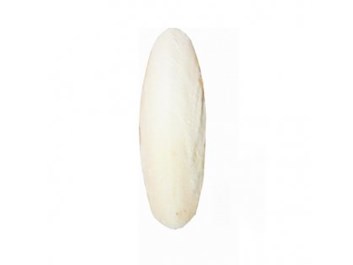 Fine Pet Sépiová kost broušená 12cm (+/- 2cm) 1ks/bal