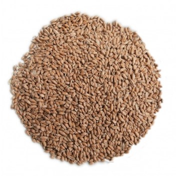 Pšenice krmná 5 kg