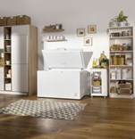 Gorenje FH30DCW