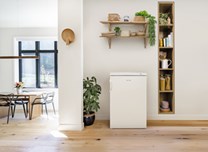 Gorenje F49DPW