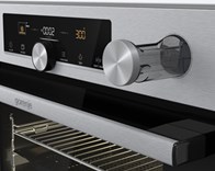 Gorenje BPSA6747A08XWI