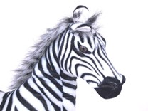Plyšová zebra
