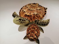 Plyšová želva hnědá 34cm