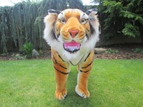 Nádherný stojící tygr