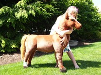Plyšový kůň - velikost XL