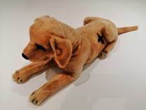 Plyšový ležící pes ,  zlatý Labrador