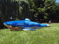 Plyšový žralok modrý