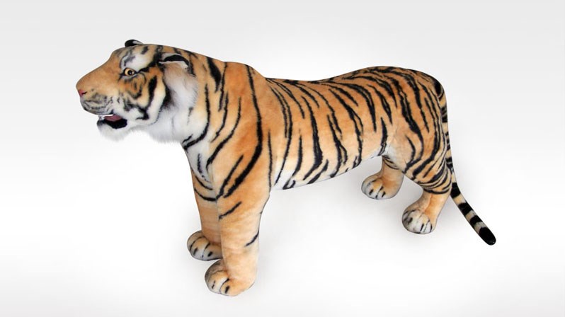 Nádherný stojící tygr