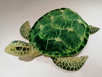 Plyšová želva  zelená