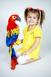 Plyšový papoušek ARA červený  58cm