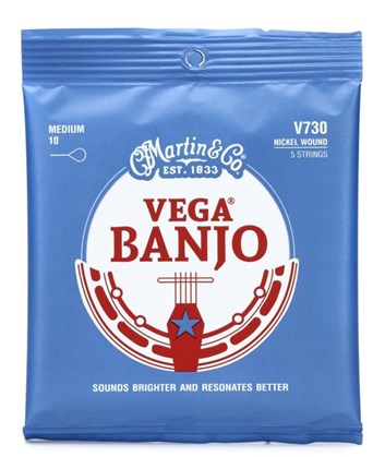 Martin V730 banjo