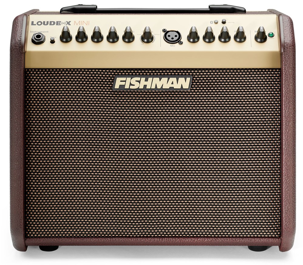 Fishman Loudbox Mini BT