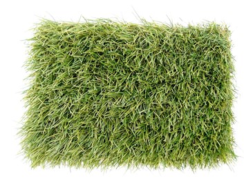Umělý trávník Royal Grass SENSE