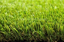 Umělý trávník Royal Grass Deluxe