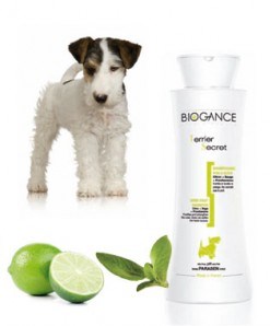 Biogance šampón Terrier secret 250 ml