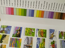 Landscapes colour by numbers, kolektiv