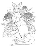 Australian Animals and Wildflowers, Selina Fenech